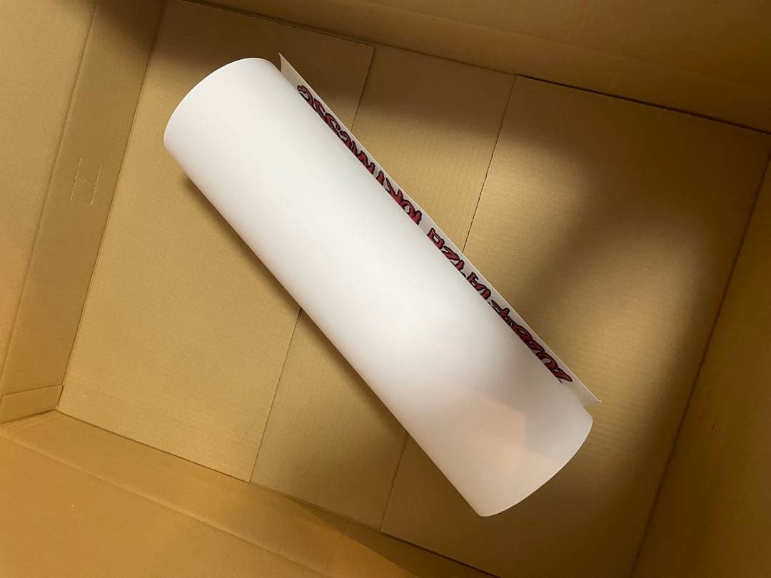 ハイスタ Screaming Newborn Baby Tour ポスター