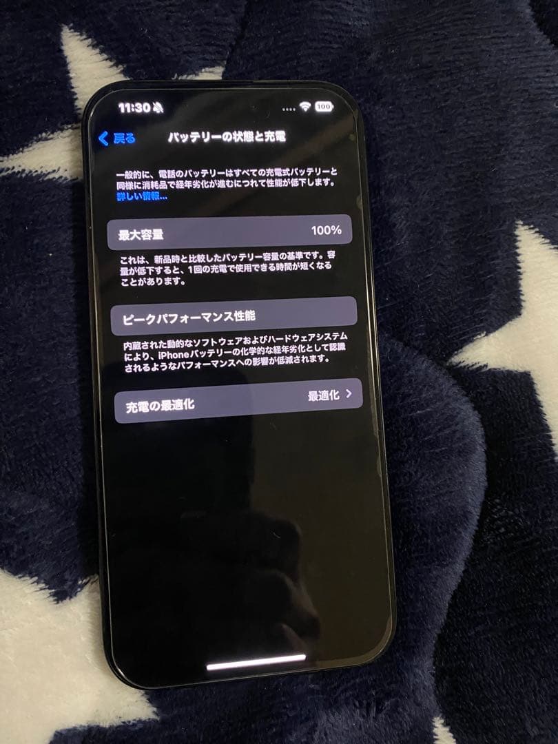 iPhone 15 Pro ブルーチタニウム 256 GB SIMフリー L108231153