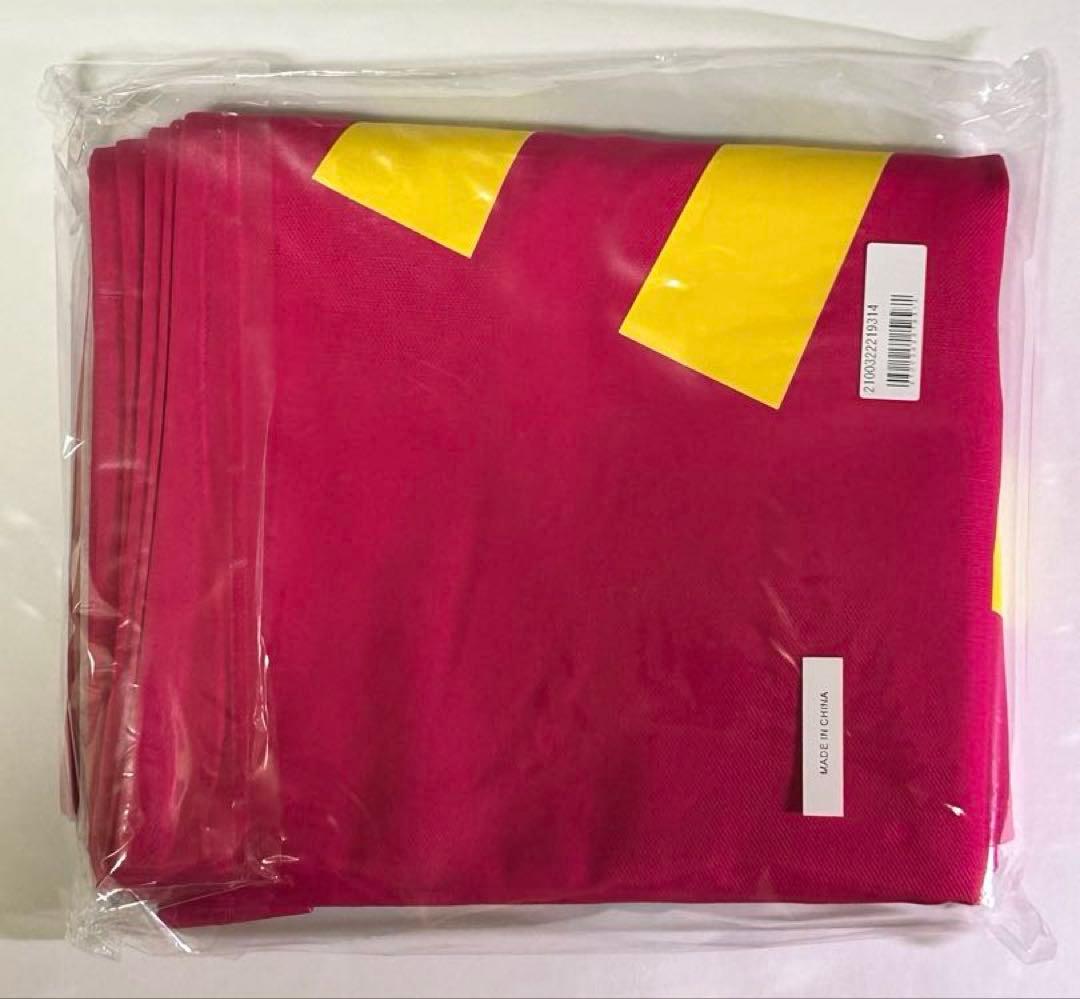 【たつみ】森高千里コンサートツアー”あなたも私もファイト！！\"のれん