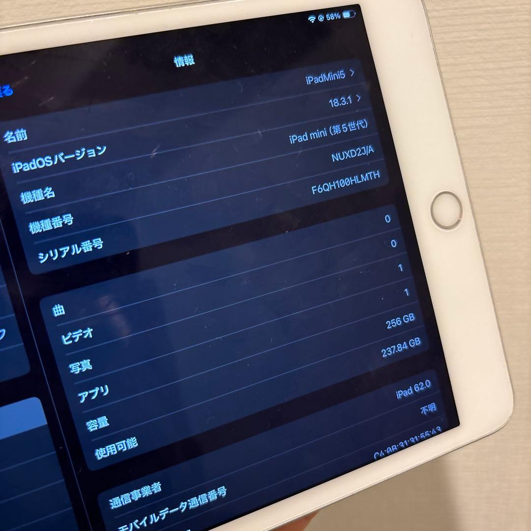 iPad mini 第5世代 256GB SIMフリー Type-C改造品 - メルカリ