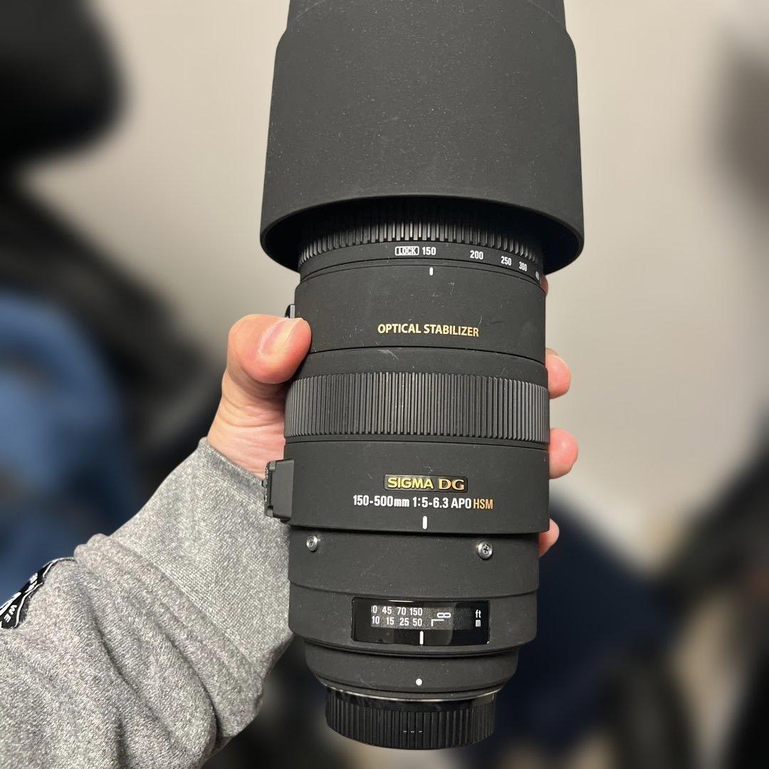 SIGMA APO 150-500mm F5-6.3 DG OS HSM - メルカリ