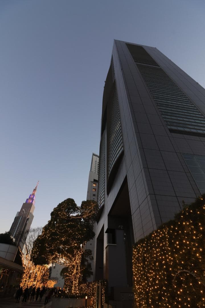 レンズ(ズーム) EF-S10-18mm F4.5-5.6 IS STM CANON