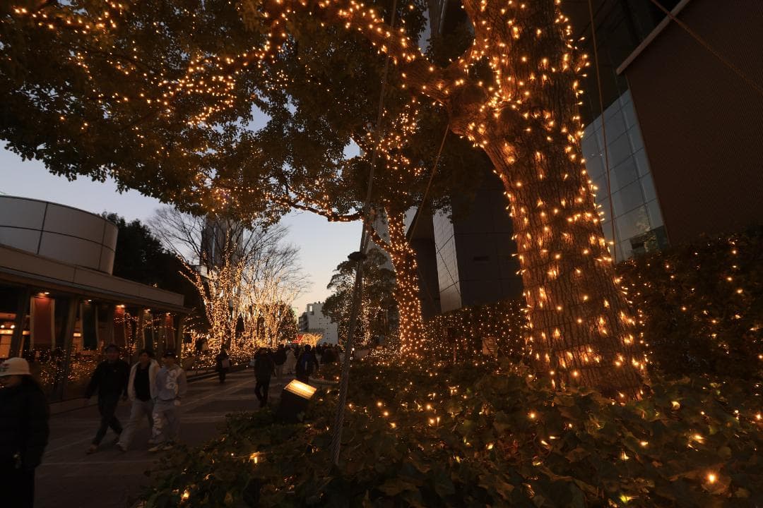 レンズ(ズーム) EF-S10-18mm F4.5-5.6 IS STM CANON