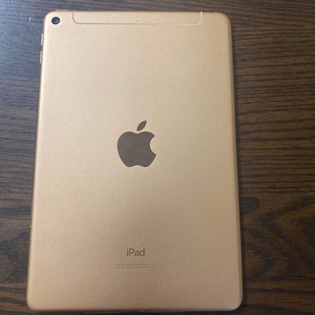 iPad mini 第5世代 64Gセルラーモデル