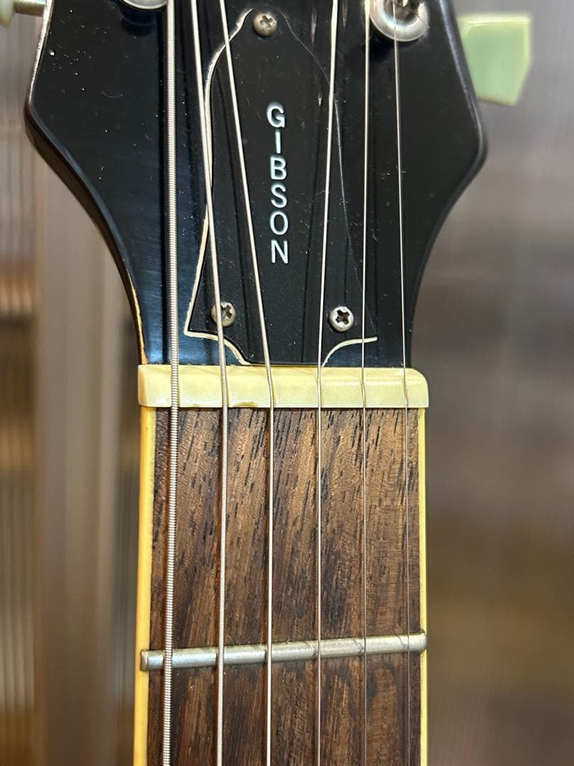 ギター Epiphone Les Paul Standard EMG 81 85