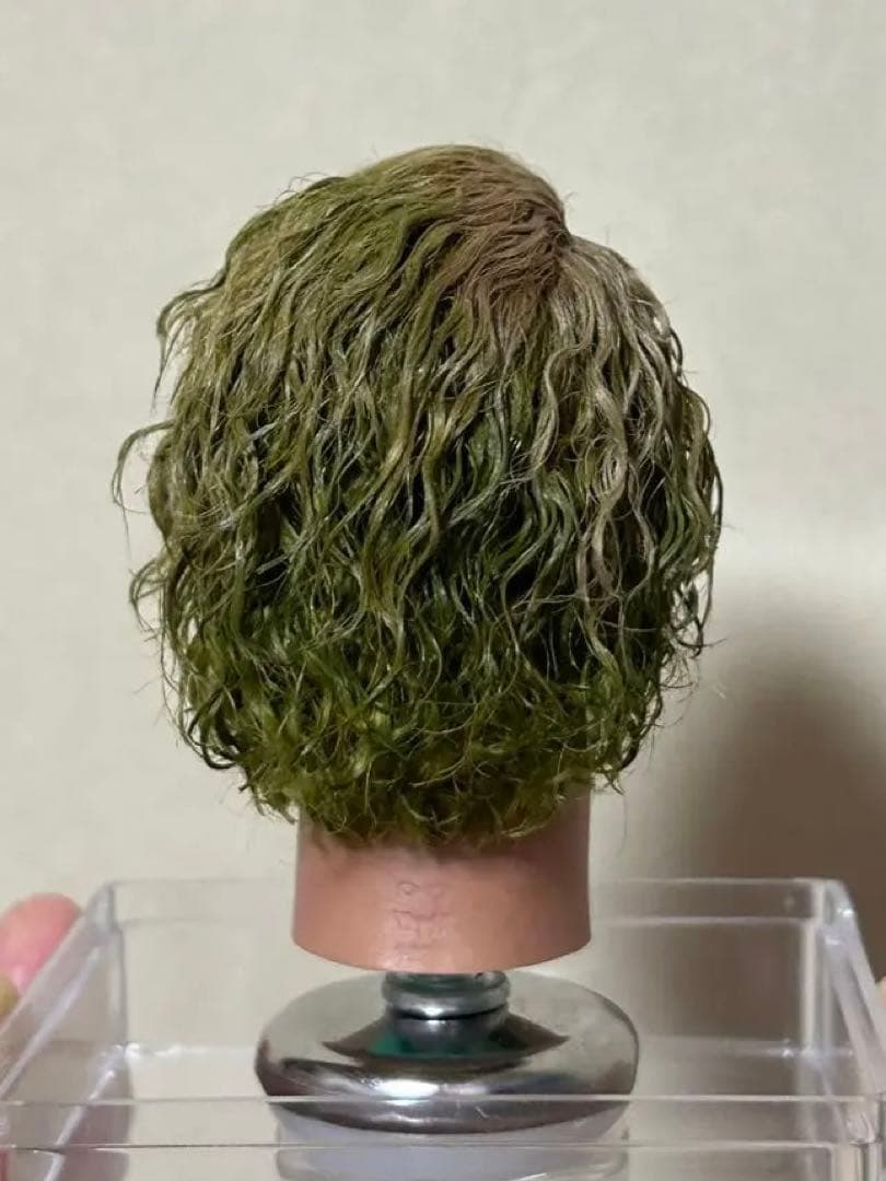 1/6 カスタム植毛ヘッド ダークナイト ジョーカー 審問1.0Ver