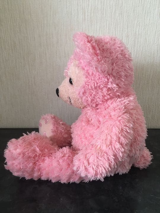 ☆レア☆ WDW ダッフィー ピンク