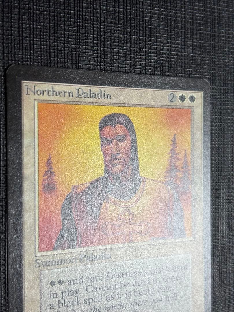 Northern Paladin/北の聖騎士/LEB