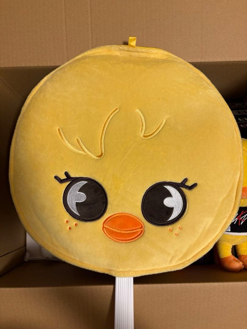 Stray Kids アルバム・ペンライト・うちわ・SKZOOセット