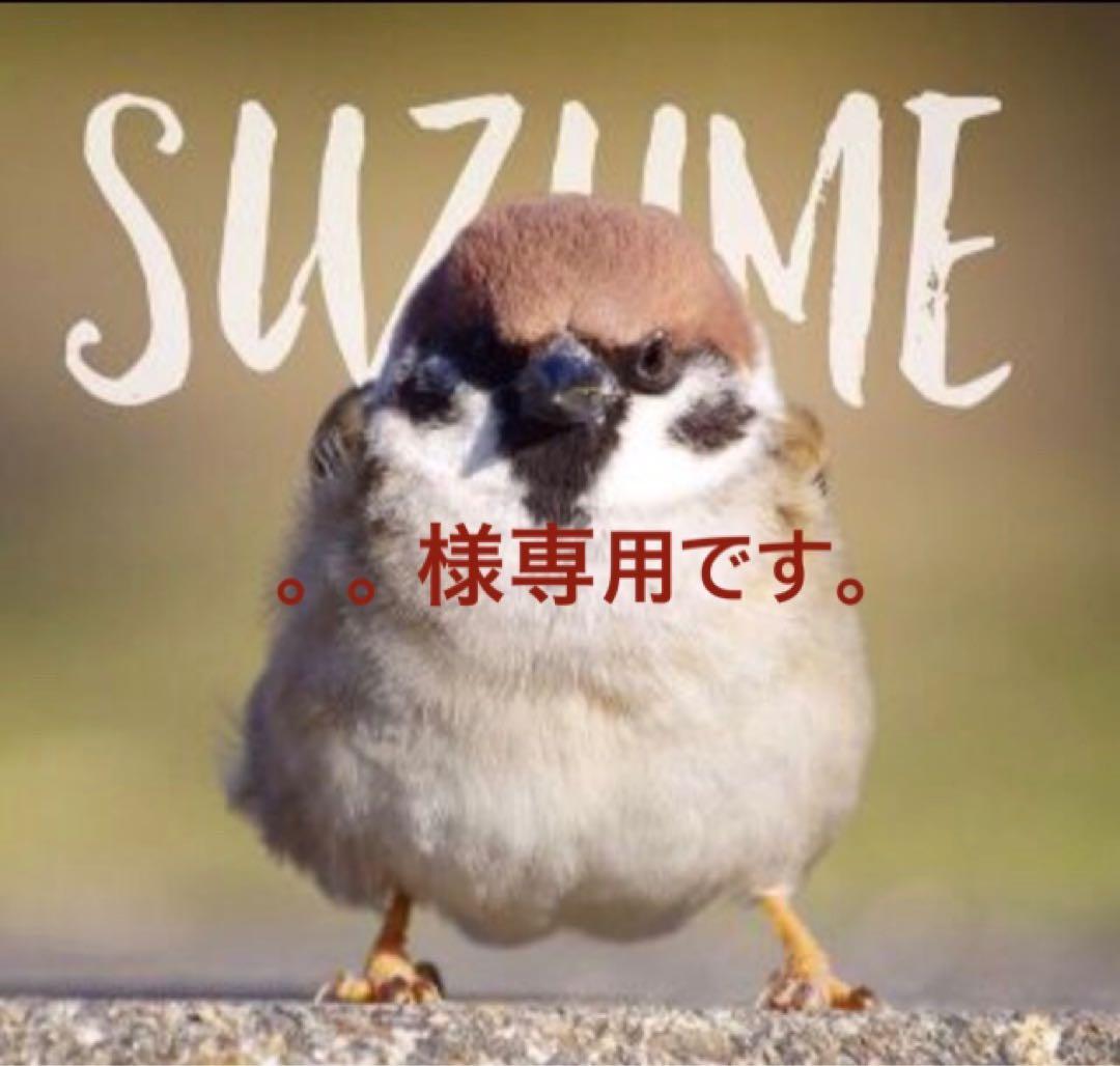 アドレスv125G用シート＆バックレストカバー【。。です。】 アドレスv125 バックレスト シート」の人気商品一覧 | 安い商品を通販