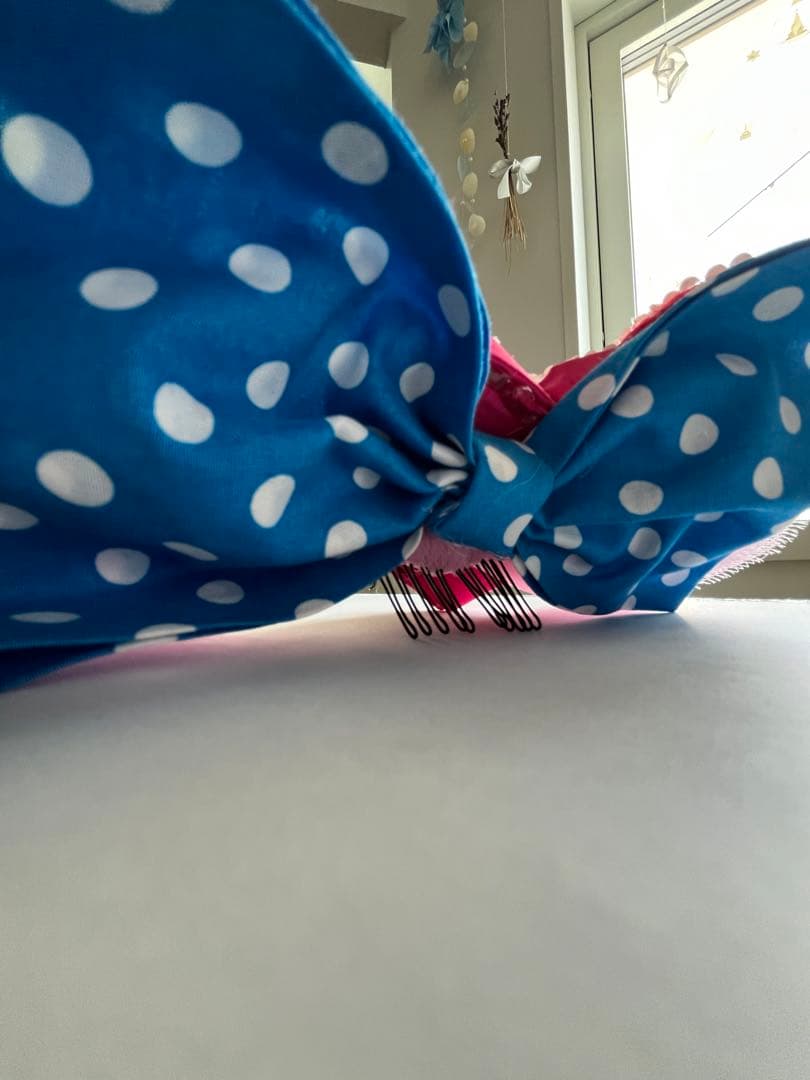 ディズニーパルパルーザ ミニーファンダーランドコスチューム一色