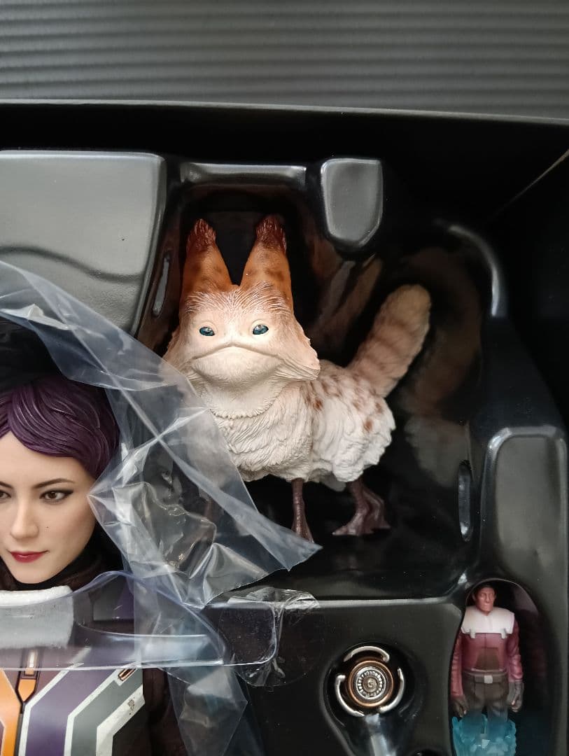 ホットトイズ　スターウォーズ　サビーヌ・レン　サビーヌ　1/6　フィギュア