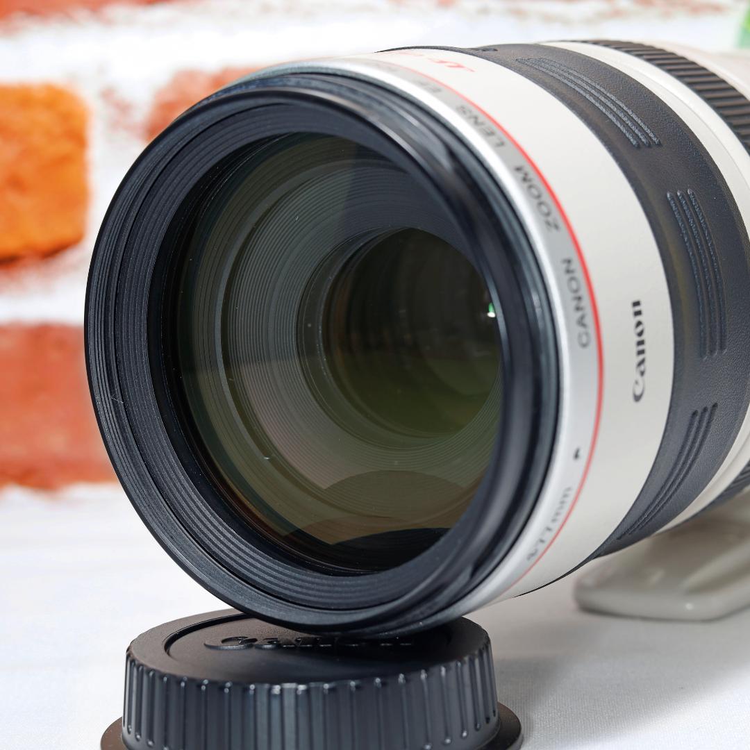 超望遠 Canon EF 100-400mm F4.5-5.6 L IS USM