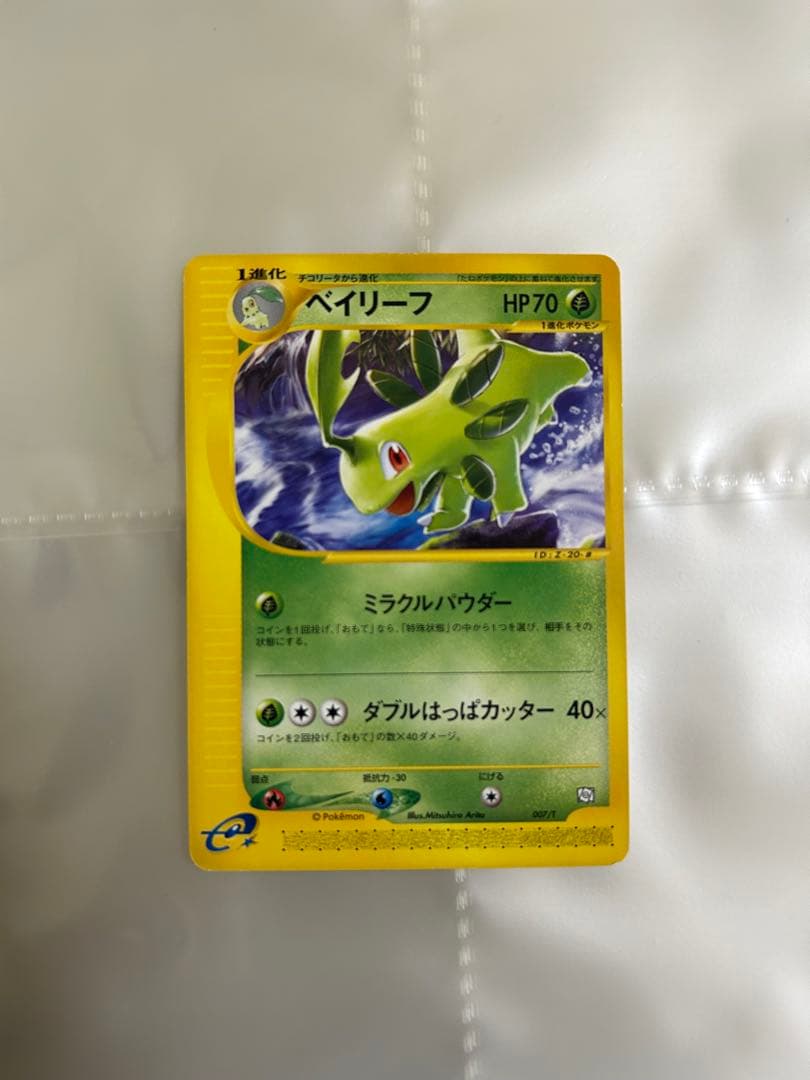 ベイリーフ・アリゲイツ・マグマラシ トレーナーズマガジンプロモ