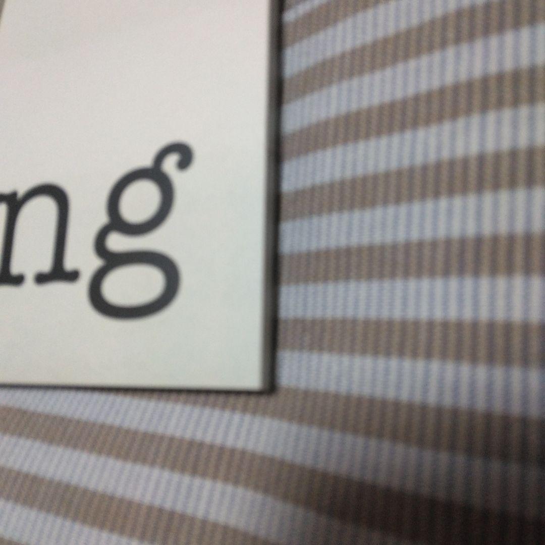 永井真理子The Washing ライブパンフレット！