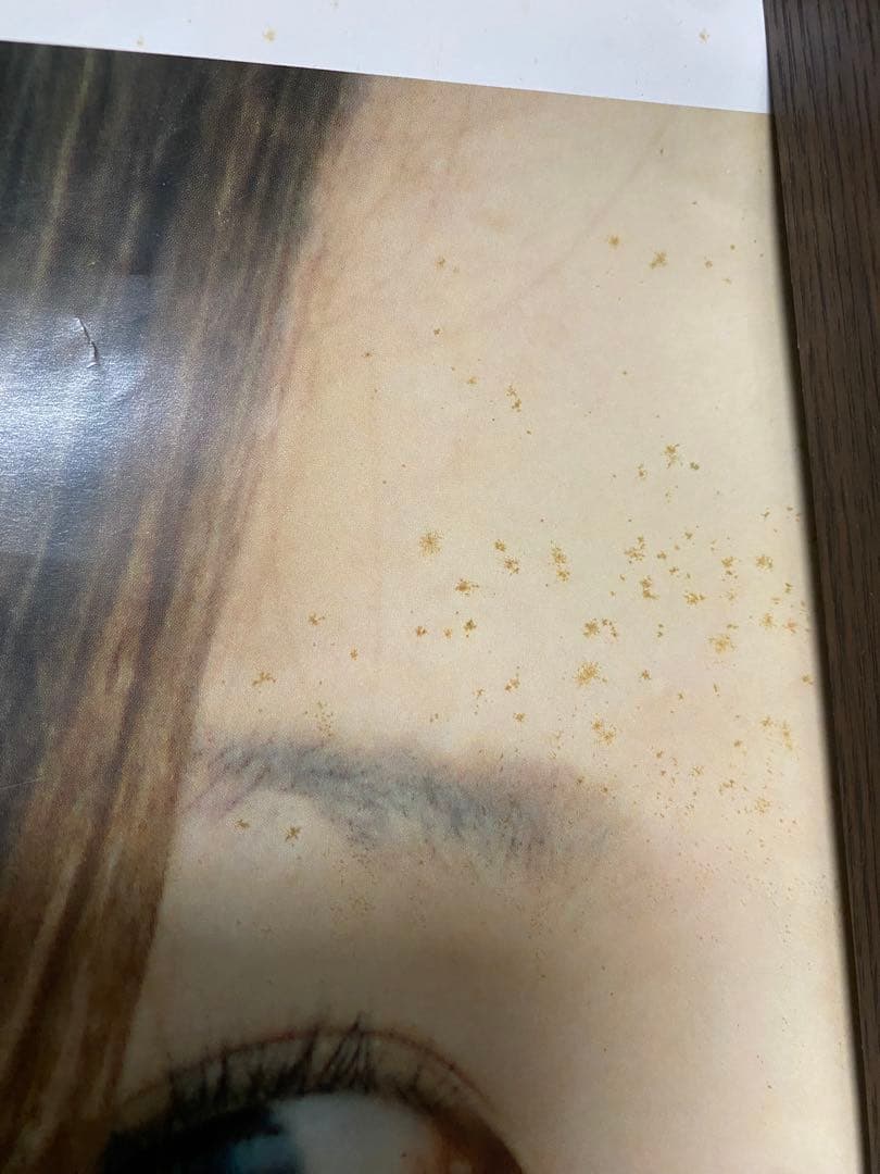 椎名林檎　本能ポスター　販売促進用