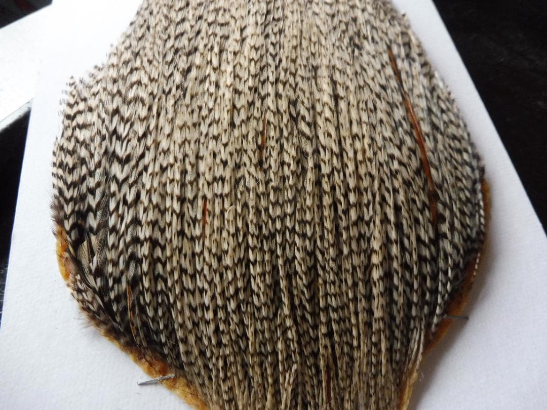 メッツ METZ コックハックルケープ グリズリーバリアント メッツ METZ