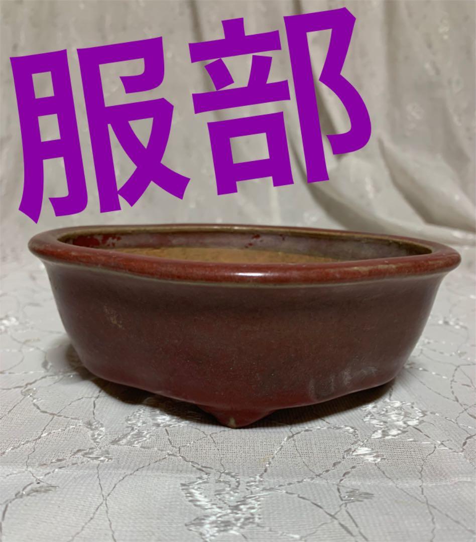 服部　盆栽鉢　赤茶 盆栽鉢 六平 3号 四日市萬古焼 金彩 黒 赤吹 金吹 黒吹 5色 丸 円形