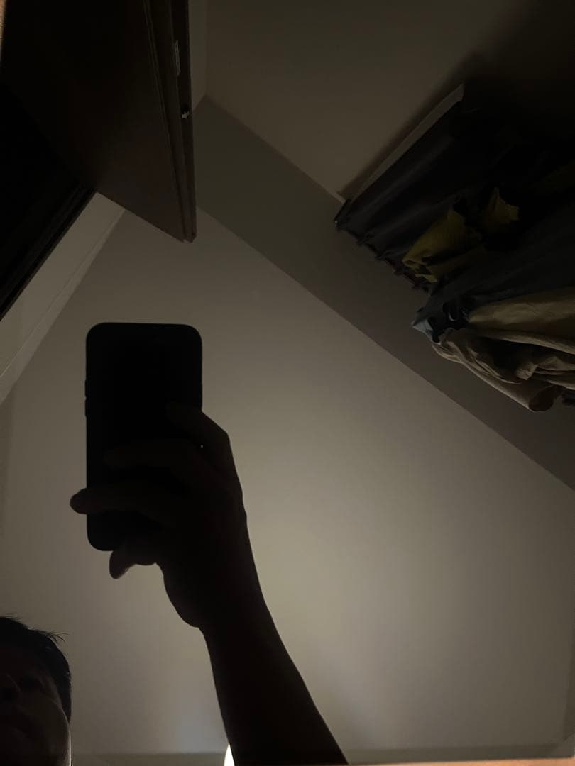 モバイルモニター EWEI 2.5K 17インチ 2560x1600