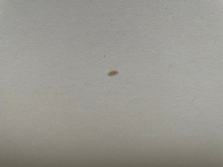 パズル セサミストリート クッキーモンスター 500ピース