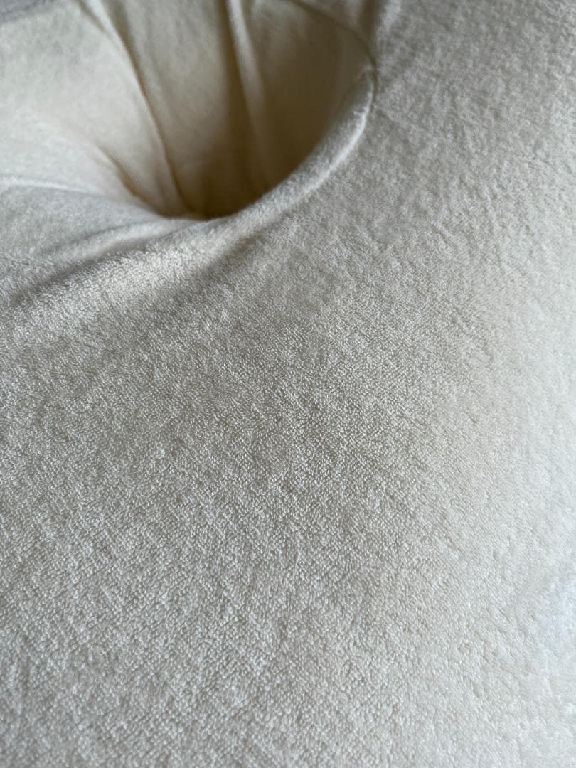 【S型抱き枕】ロフテー Lサイズ カバー付き 2025年11月購入