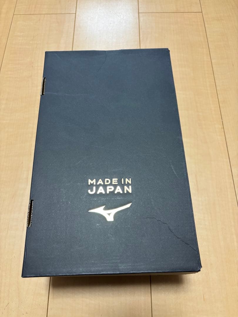 【専用7/4まで】新品モレリアNEO4 JAPAN ホワイト 25.0cm