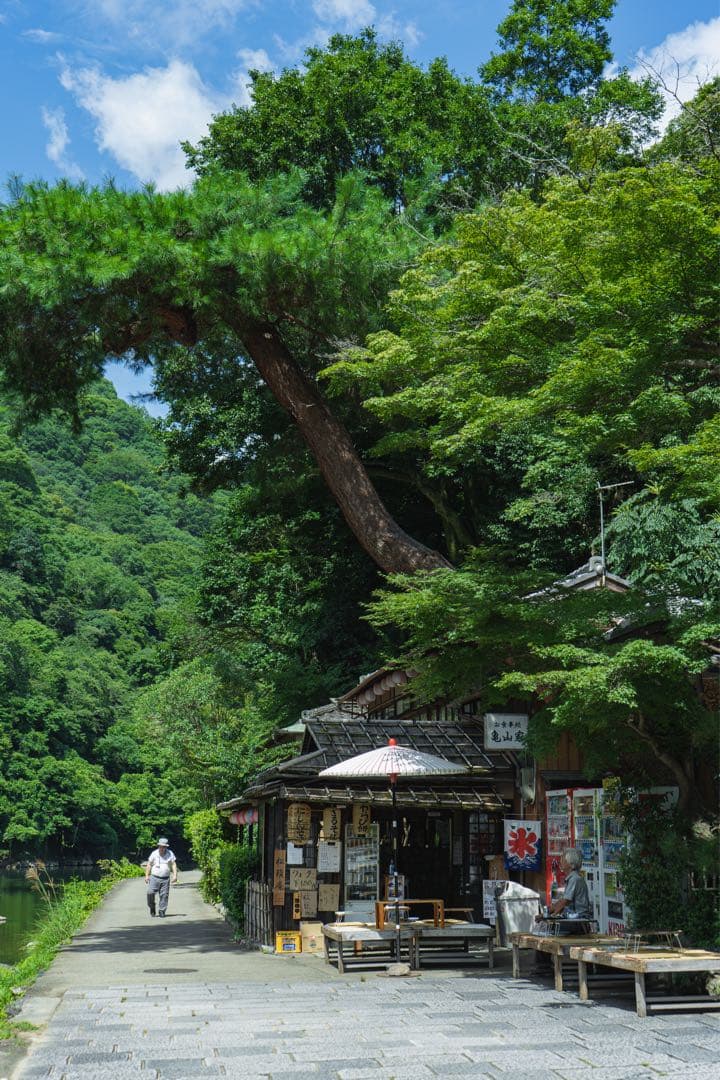 〈作例有〉Tamron 70-300mm F4.5-6.3