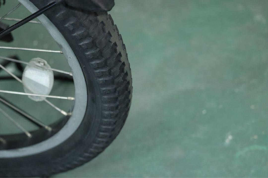 京都美人　　12.3ah