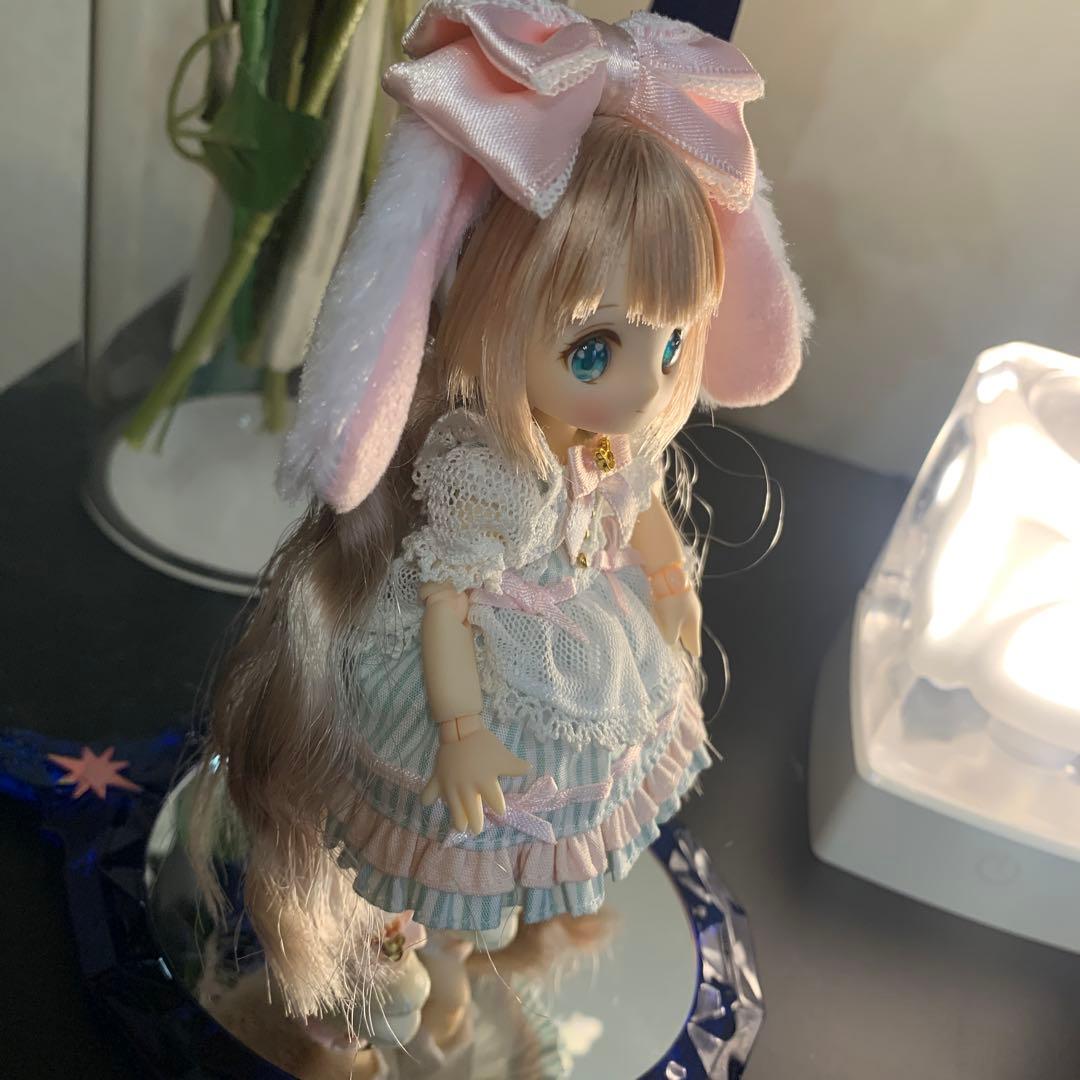 シュガーカップス ビスケティーナ アゾンダイレクトストア限定販売