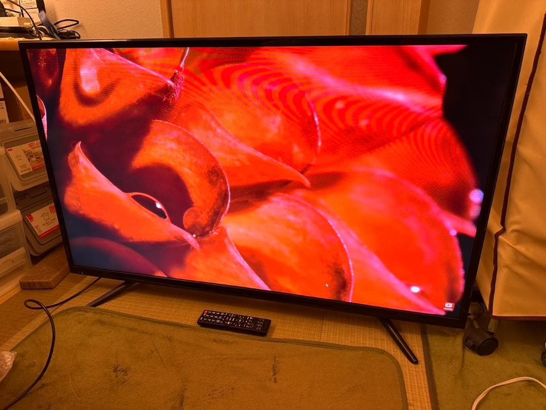 アグレクション 48型　テレビ　TAG-48TV　2019年製　映り綺麗極美品！