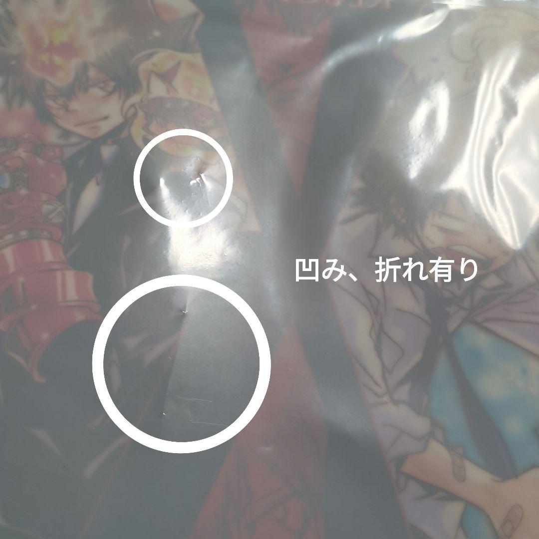 家庭教師ヒットマンREBORN! 沢田綱吉 ツナ クリアポスター 原作絵