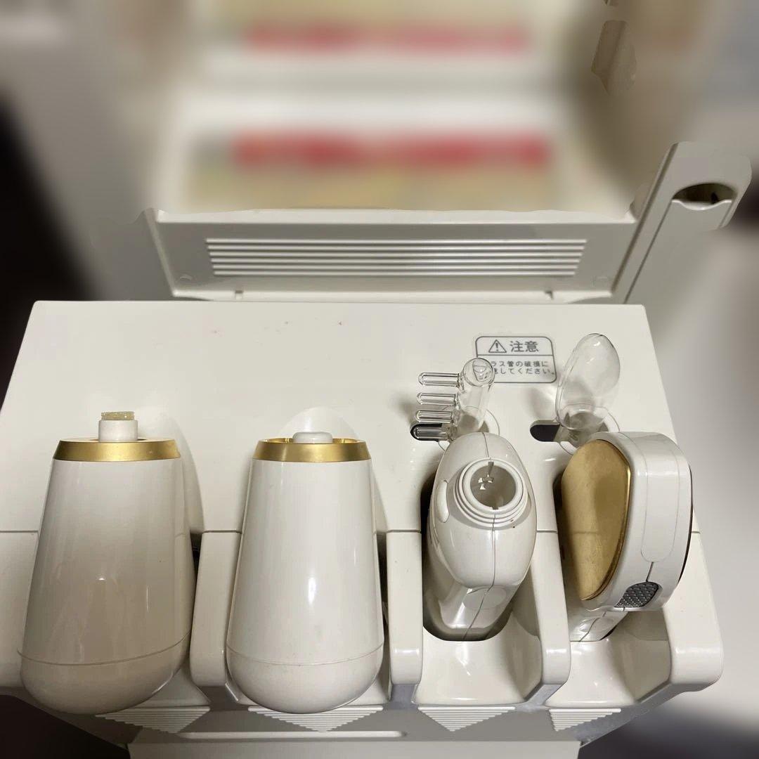 ホメオスタイル ホメオライザー TDL-211X 美顔器 美容器 - メルカリ