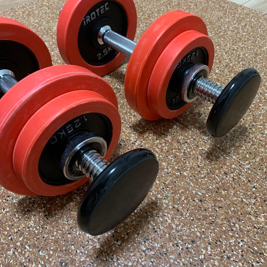 まと様専用】アイロテック IROTEC ダンベル 10kg×2 オンザニー - メルカリ