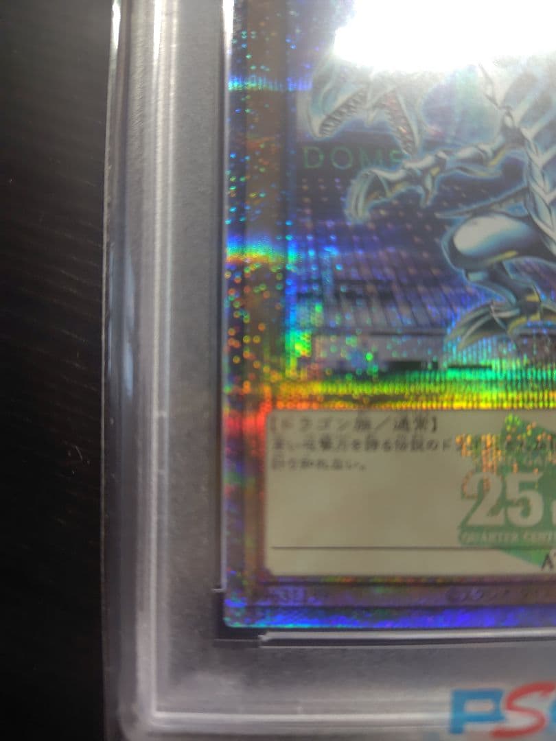 青眼の白龍　東京ドーム　25thシークレット