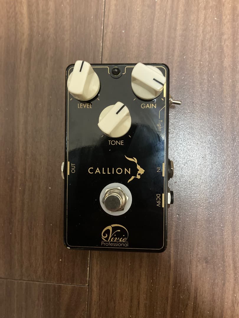 ギター Vivie Callion