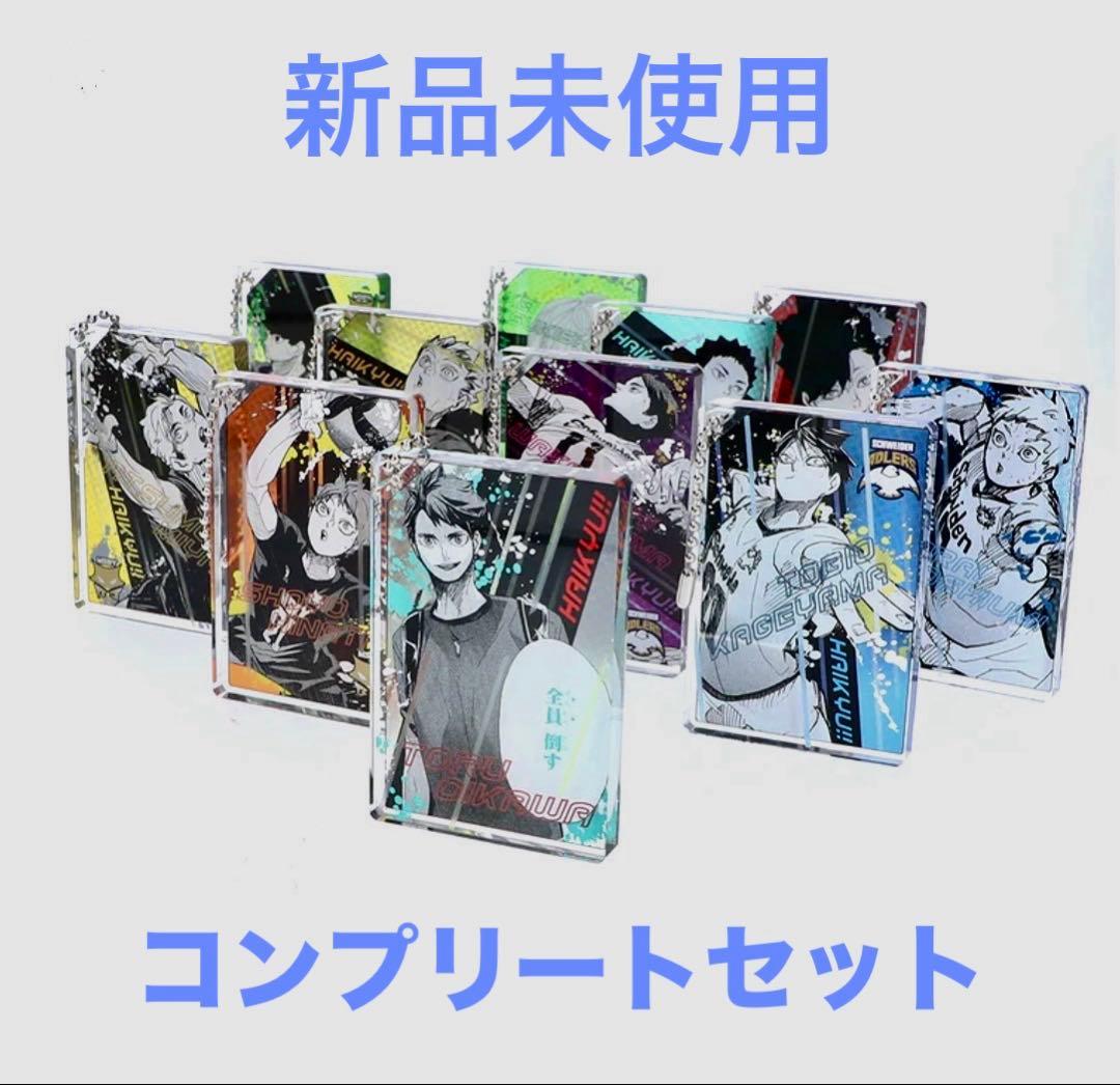 ハイキュー ドミノ風アクリルキーホルダーコレクション 全12種コンプ