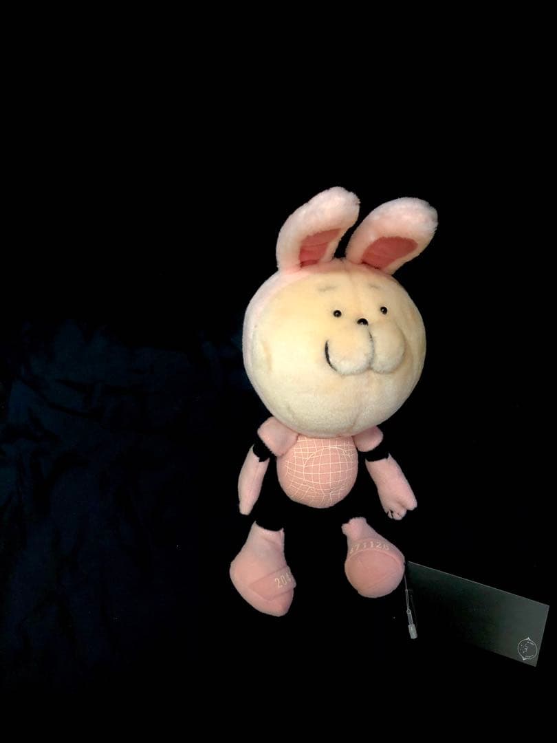 【新品入荷♪激レア！】20471120 うさぎHyoma soft toys♪