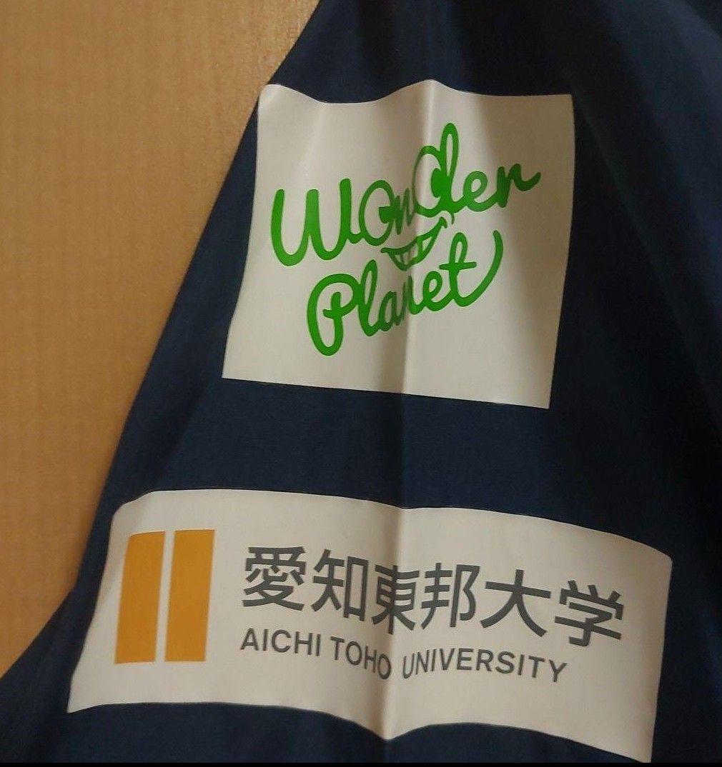 名古屋グランパス Mizuno ピステ上下セット ネイビー 選手支給品