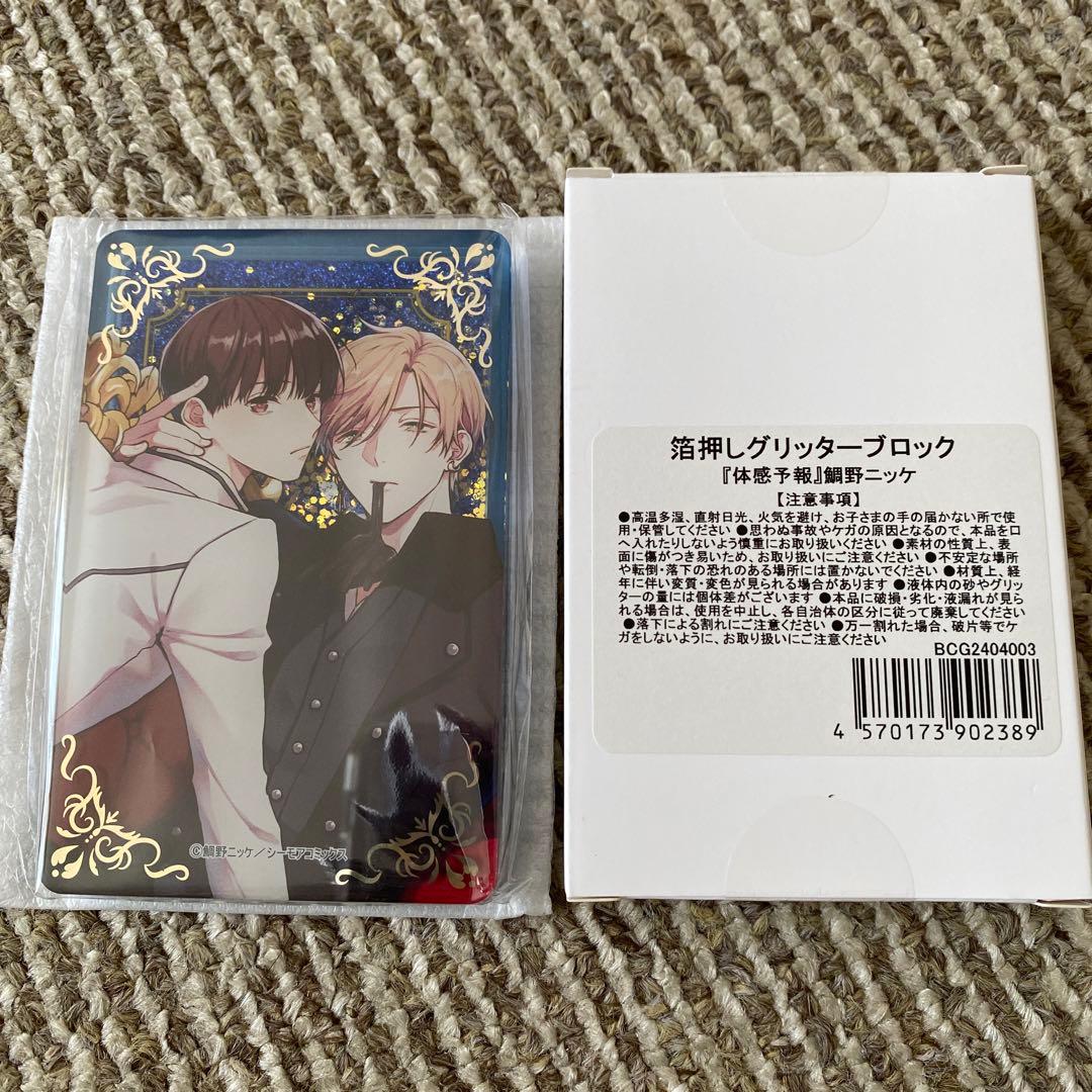 鯛野ニッケ 体感予報 ちるちる BLキャラ総選挙2024 グッズセット