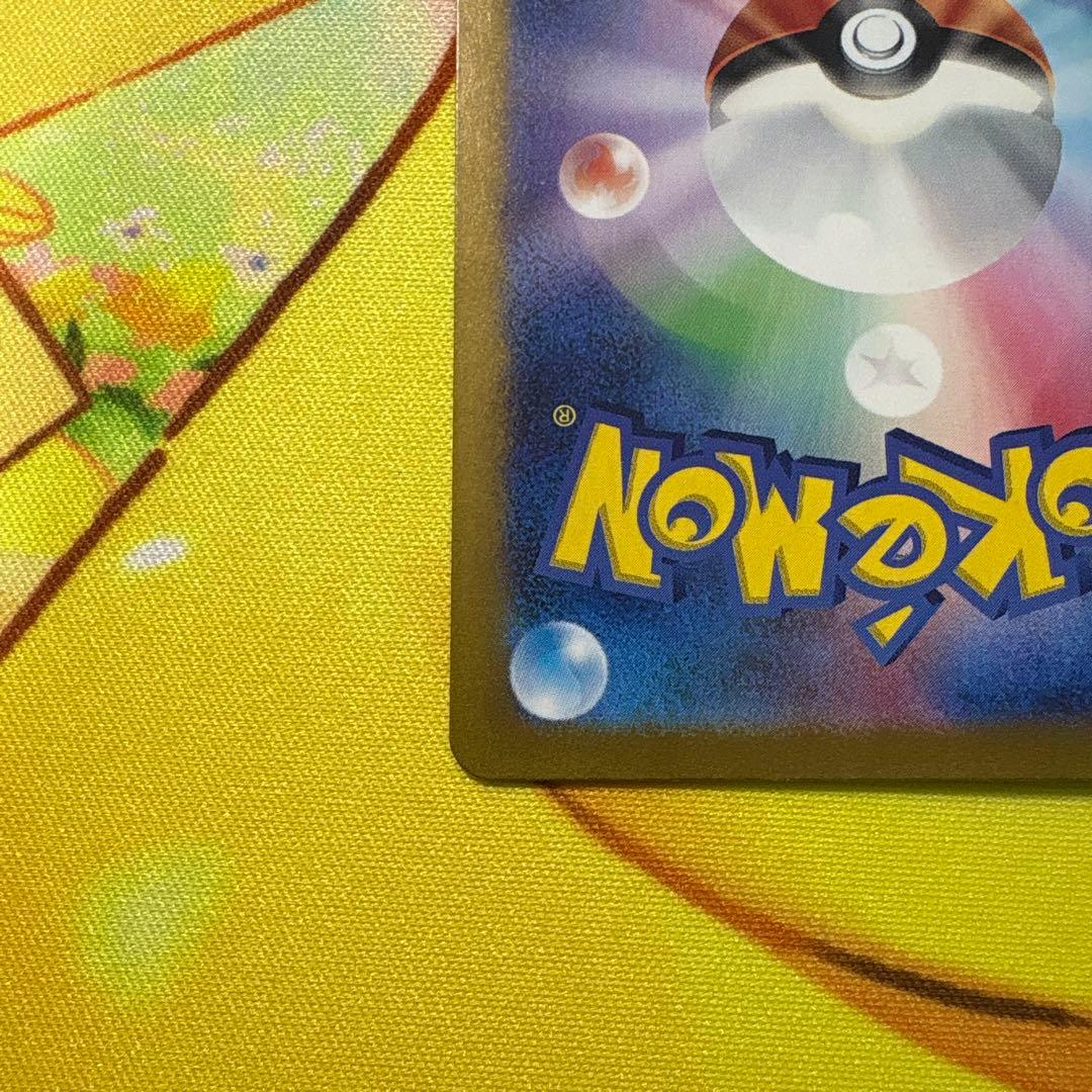 【美品】ゼイユ　SAR