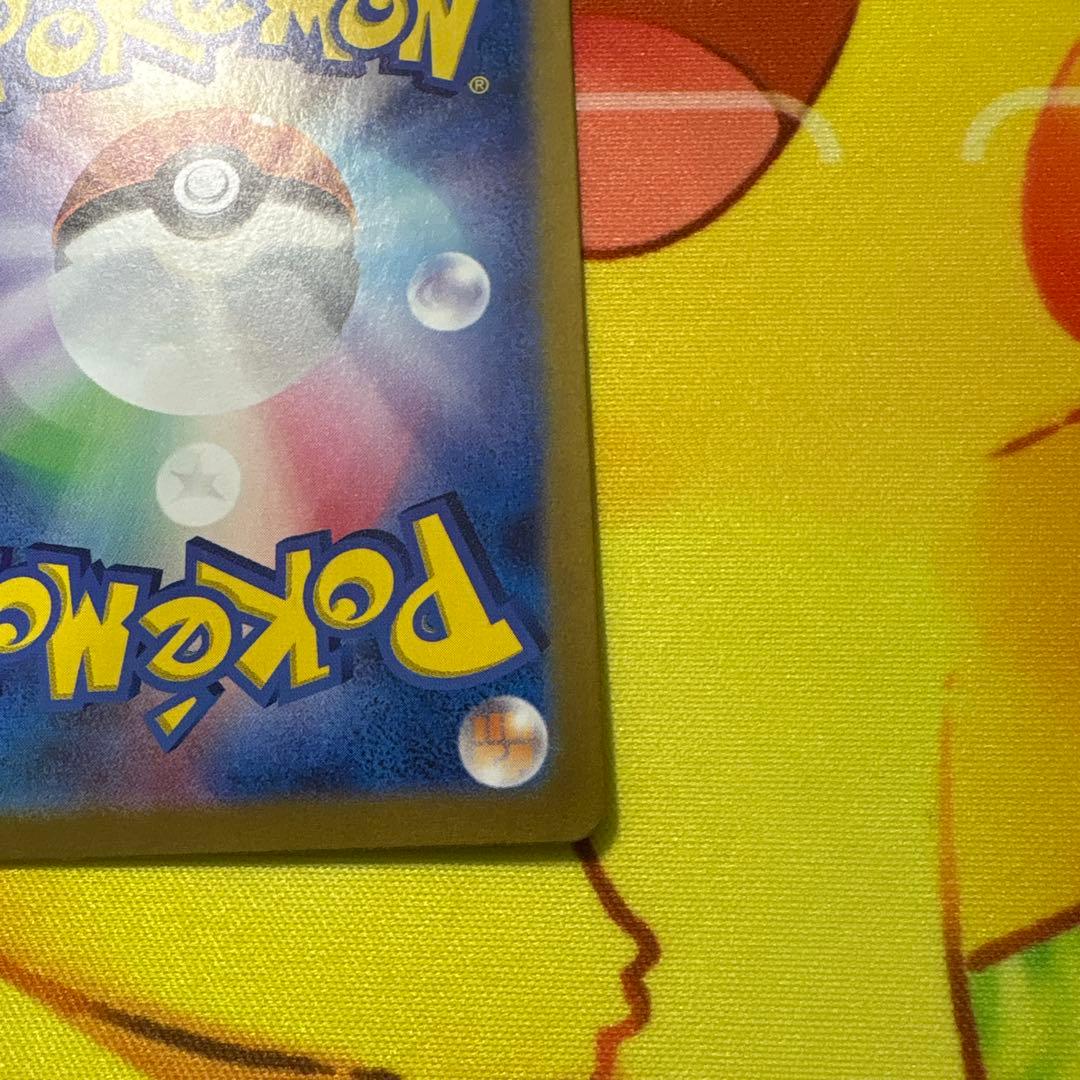 【美品】ゼイユ　SAR