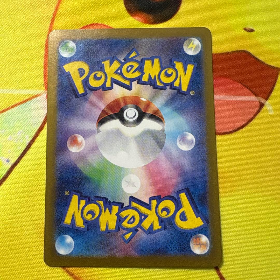 【美品】ゼイユ　SAR