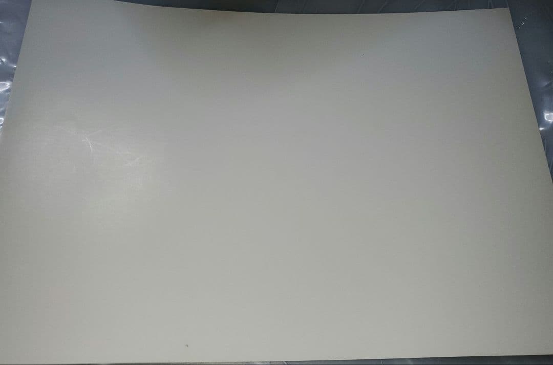 ガゼット the GazettE reila 特典 直筆サイン ポートレート