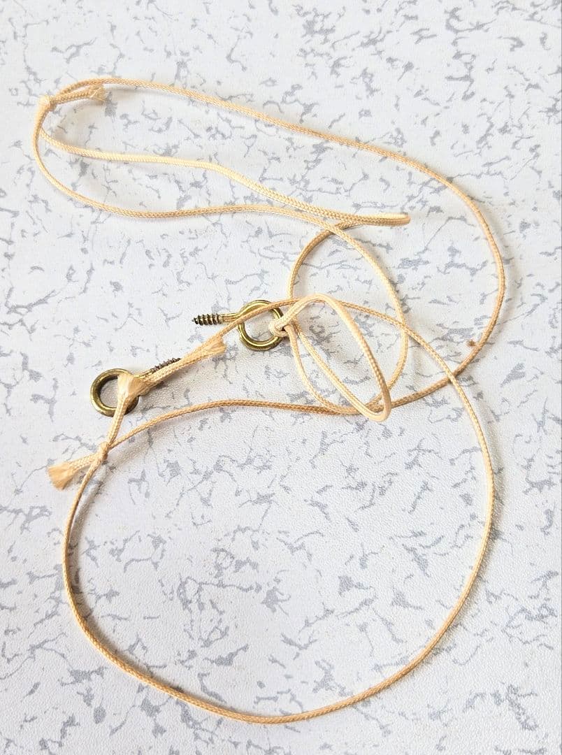 ユリの水彩画 1864年制作