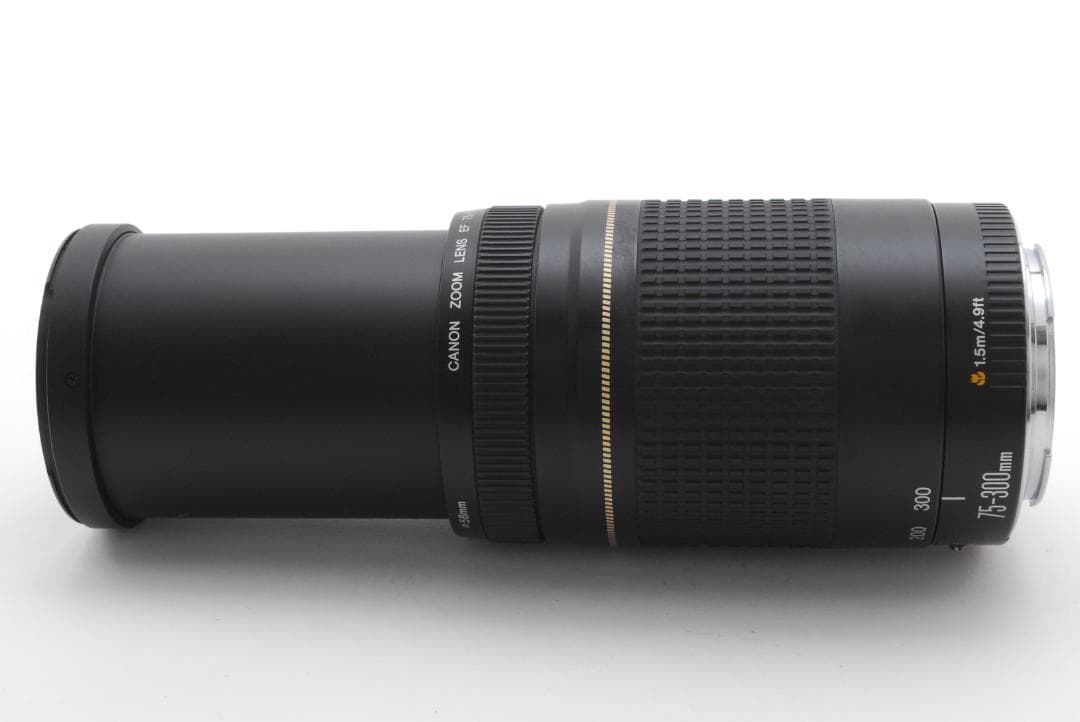 レンズ(ズーム) Canon EF 75-300mm f/4-5.6 II L0230