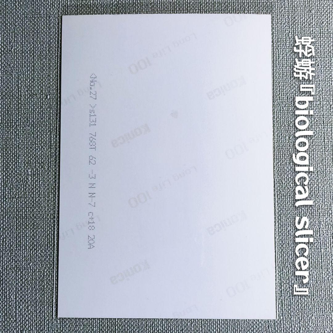 【非売品】蜉蝣初期生写真『biological slicer』大佑と黒の隠者達