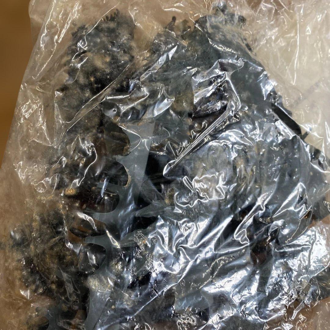 ⑬ゴジラ 2000年 ミレニアム 1/144☆原型製作 茨木彰