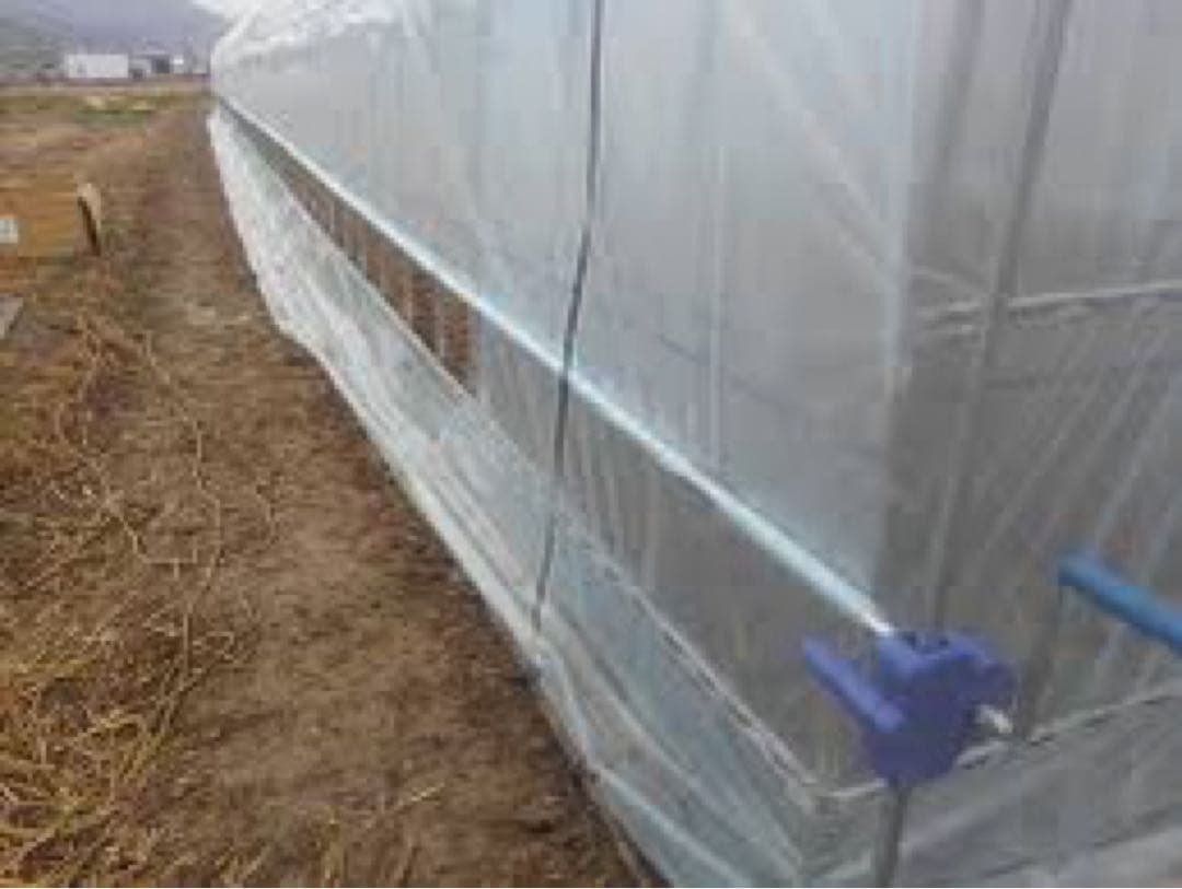 はじめ　POフィルム アウトレット】daim 農業用 POフィルム 半透明 散乱光タイプ 0.1mm