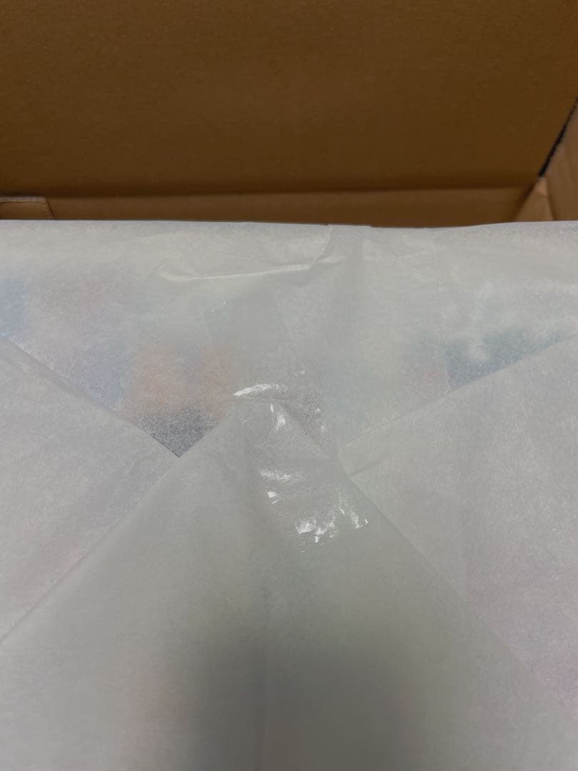 【新品・未開封】ヒナ（水着）