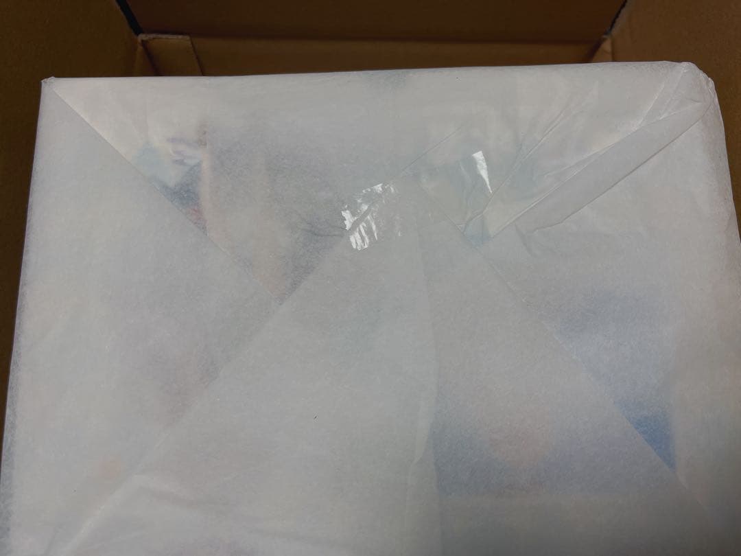 【新品・未開封】ヒナ（水着）